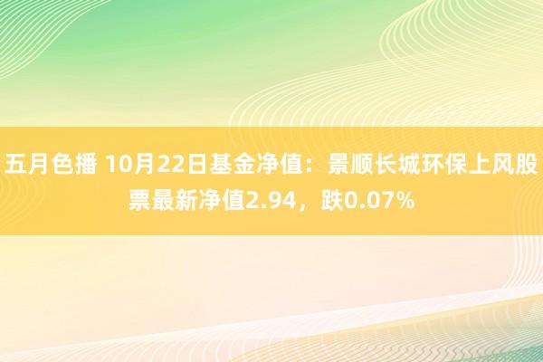 五月色播 10月22日基金净值：景顺长城环保上风股票最新净值2.94，跌0.07%