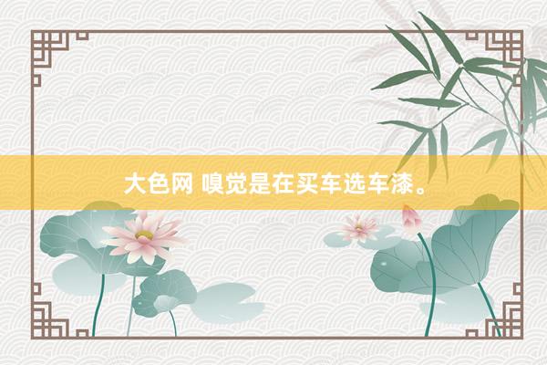 大色网 嗅觉是在买车选车漆。