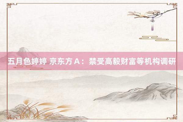 五月色婷婷 京东方Ａ：禁受高毅财富等机构调研