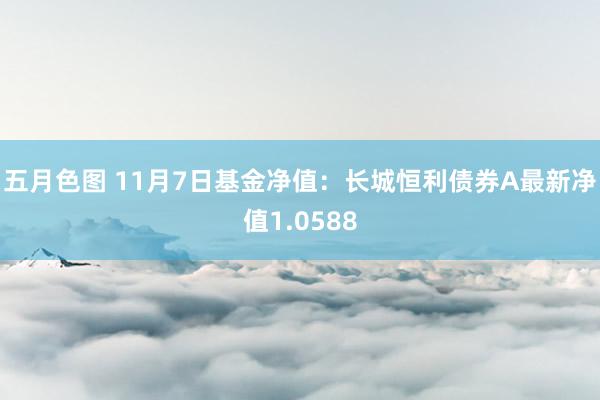 五月色图 11月7日基金净值：长城恒利债券A最新净值1.0588