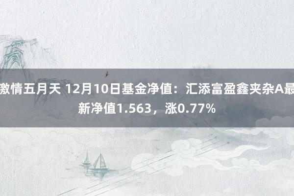 激情五月天 12月10日基金净值：汇添富盈鑫夹杂A最新净值1.563，涨0.77%