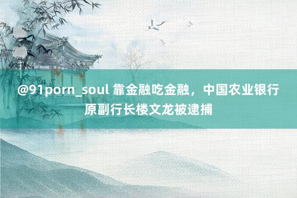 @91porn_soul 靠金融吃金融，中国农业银行原副行长楼文龙被逮捕