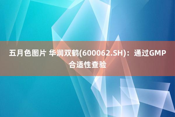 五月色图片 华润双鹤(600062.SH)：通过GMP合适性查验