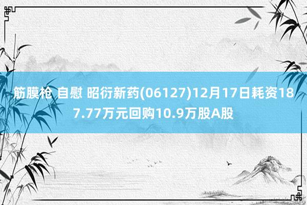 筋膜枪 自慰 昭衍新药(06127)12月17日耗资187.77万元回购10.9万股A股