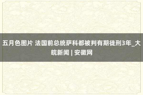 五月色图片 法国前总统萨科都被判有期徒刑3年_大皖新闻 | 安徽网
