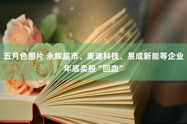 五月色图片 永辉超市、麦迪科技、易成新能等企业年底卖股“回血”