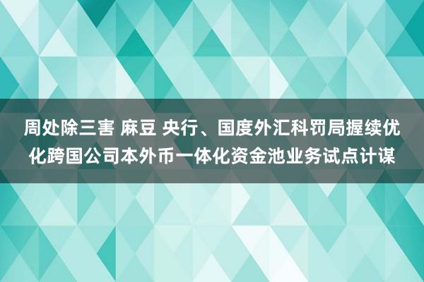 周处除三害 麻豆 央行、国度外汇科罚局握续优化跨国公司本外币一体化资金池业务试点计谋