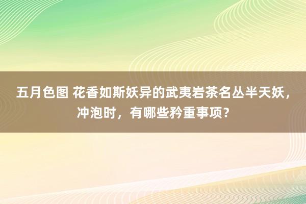五月色图 花香如斯妖异的武夷岩茶名丛半天妖，冲泡时，有哪些矜重事项？