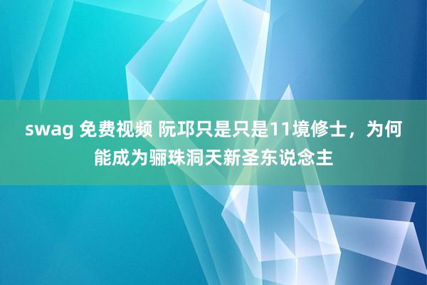 swag 免费视频 阮邛只是只是11境修士，为何能成为骊珠洞天新圣东说念主