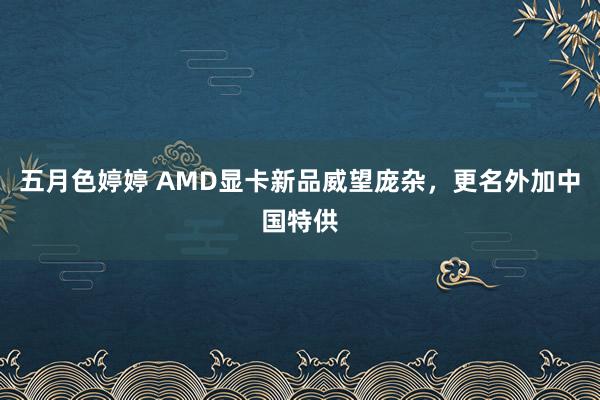 五月色婷婷 AMD显卡新品威望庞杂，更名外加中国特供