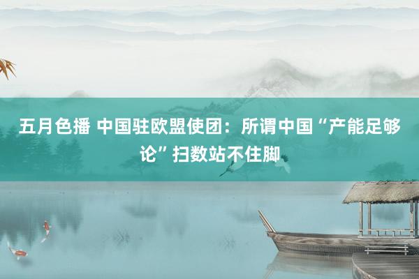 五月色播 中国驻欧盟使团：所谓中国“产能足够论”扫数站不住脚