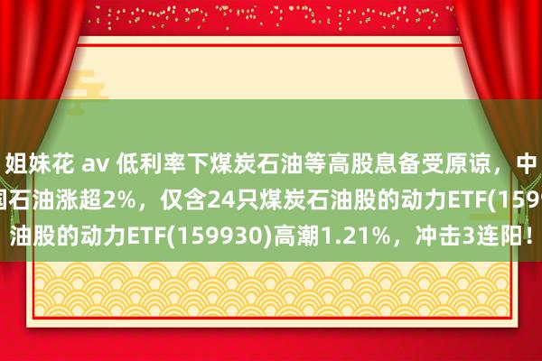 姐妹花 av 低利率下煤炭石油等高股息备受原谅，中国神华涨超3%，中国石油涨超2%，仅含24只煤炭石油股的动力ETF(159930)高潮1.21%，冲击3连阳！