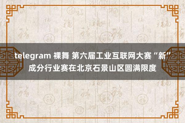 telegram 裸舞 第六届工业互联网大赛“新”成分行业赛在北京石景山区圆满限度
