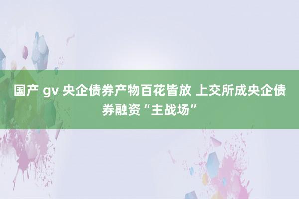 国产 gv 央企债券产物百花皆放 上交所成央企债券融资“主战场”
