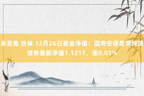 米菲兔 丝袜 12月26日基金净值：国寿安保泰荣纯债债券最新净值1.1217，涨0.01%