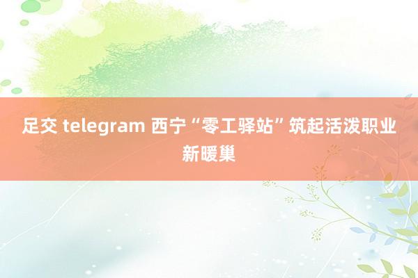 足交 telegram 西宁“零工驿站”筑起活泼职业新暖巢