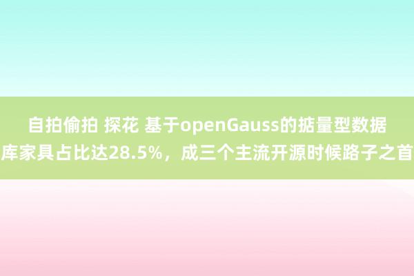 自拍偷拍 探花 基于openGauss的掂量型数据库家具占比达28.5%，成三个主流开源时候路子之首