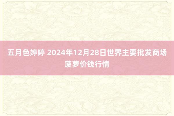 五月色婷婷 2024年12月28日世界主要批发商场菠萝价钱行情
