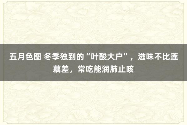 五月色图 冬季独到的“叶酸大户”，滋味不比莲藕差，常吃能润肺止咳