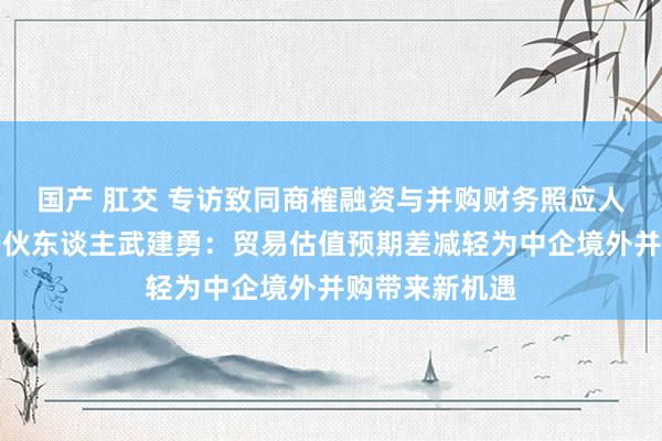 国产 肛交 专访致同商榷融资与并购财务照应人处当事人宰搭伙东谈主武建勇：贸易估值预期差减轻为中企境外并购带来新机遇