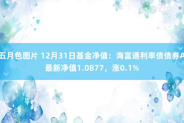 五月色图片 12月31日基金净值：海富通利率债债券A最新净值1.0877，涨0.1%