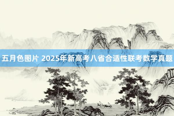 五月色图片 2025年新高考八省合适性联考数学真题