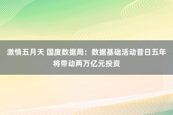 激情五月天 国度数据局：数据基础活动昔日五年将带动两万亿元投资