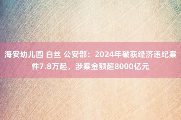 海安幼儿园 白丝 公安部：2024年破获经济违纪案件7.8万起，涉案金额超8000亿元