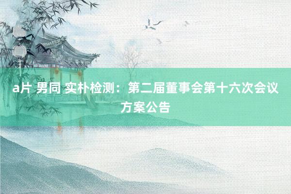 a片 男同 实朴检测：第二届董事会第十六次会议方案公告