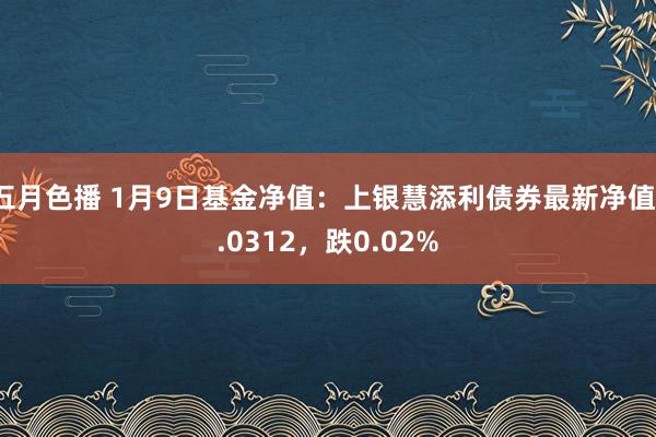 五月色播 1月9日基金净值：上银慧添利债券最新净值1.0312，跌0.02%