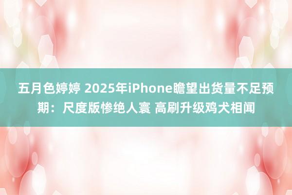 五月色婷婷 2025年iPhone瞻望出货量不足预期：尺度版惨绝人寰 高刷升级鸡犬相闻