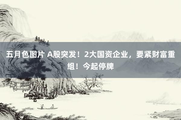 五月色图片 A股突发！2大国资企业，要紧财富重组！今起停牌