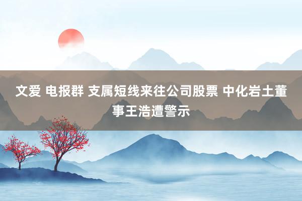 文爱 电报群 支属短线来往公司股票 中化岩土董事王浩遭警示