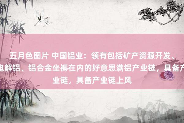 五月色图片 中国铝业：领有包括矿产资源开发、氧化铝、电解铝、铝合金坐褥在内的好意思满铝产业链，具备产业链上风