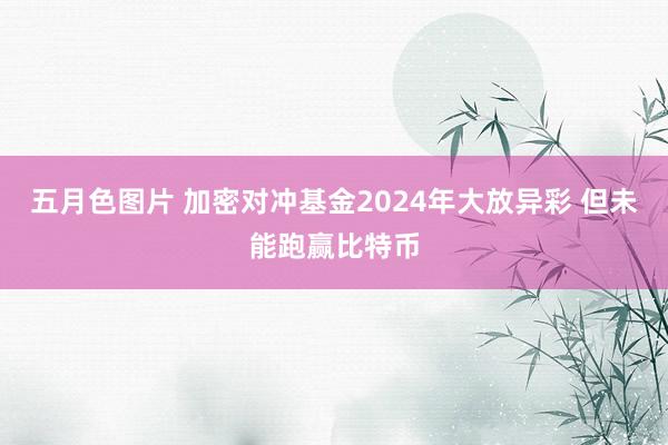 五月色图片 加密对冲基金2024年大放异彩 但未能跑赢比特币