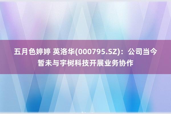 五月色婷婷 英洛华(000795.SZ)：公司当今暂未与宇树科技开展业务协作