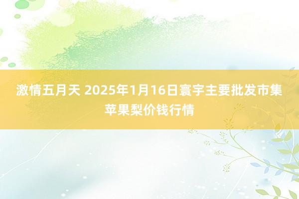 激情五月天 2025年1月16日寰宇主要批发市集苹果梨价钱行情