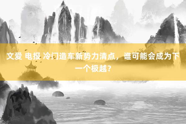 文爱 电报 冷门造车新势力清点，谁可能会成为下一个极越？