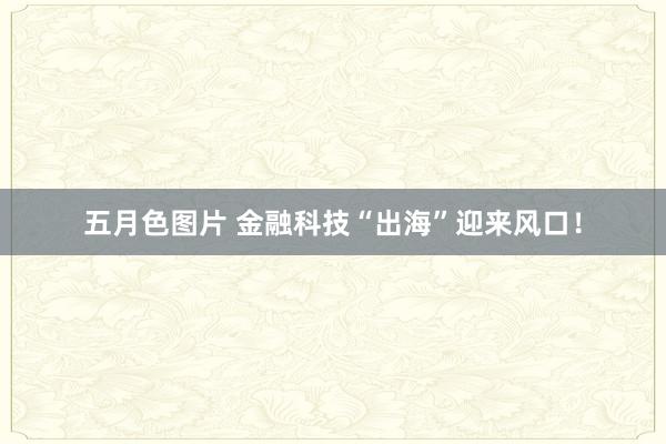 五月色图片 金融科技“出海”迎来风口！