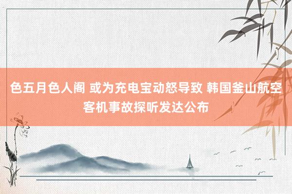 色五月色人阁 或为充电宝动怒导致 韩国釜山航空客机事故探听发达公布