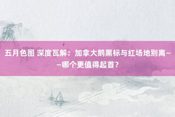 五月色图 深度瓦解：加拿大鹅黑标与红场地别离——哪个更值得起首？