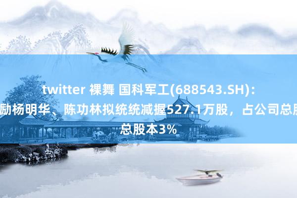 twitter 裸舞 国科军工(688543.SH)：公司鼓励杨明华、陈功林拟统统减握527.1万股，占公司总股本3%