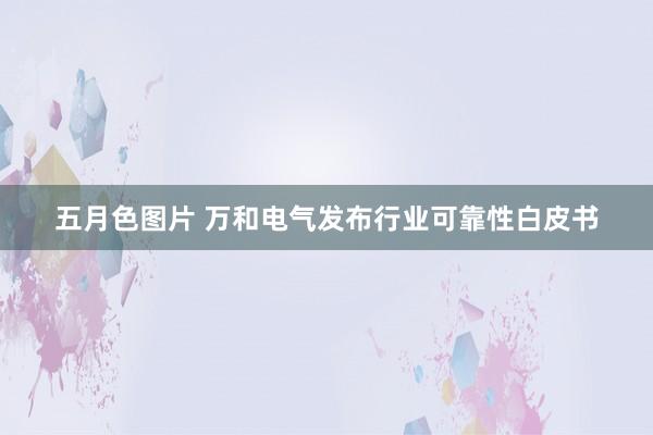 五月色图片 万和电气发布行业可靠性白皮书