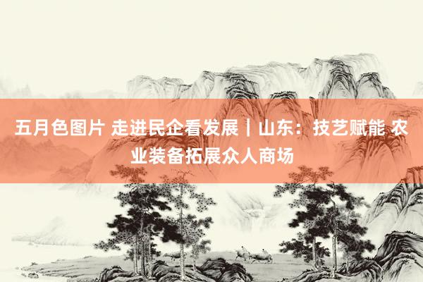 五月色图片 走进民企看发展｜山东：技艺赋能 农业装备拓展众人商场