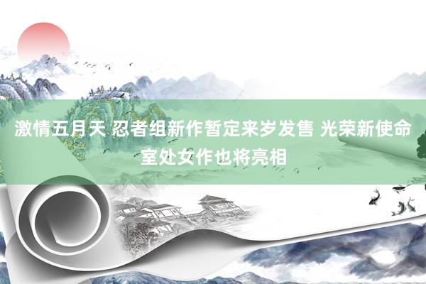 激情五月天 忍者组新作暂定来岁发售 光荣新使命室处女作也将亮相