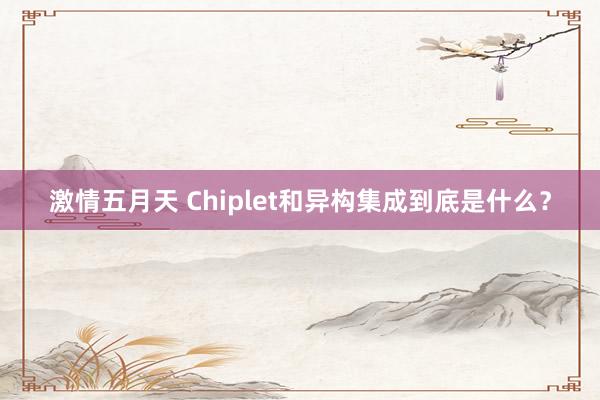 激情五月天 Chiplet和异构集成到底是什么？