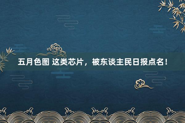 五月色图 这类芯片，被东谈主民日报点名！