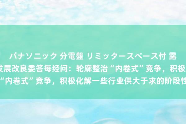 パナソニック 分電盤 リミッタースペース付 露出・半埋込両用形 国度发展改良委答每经问：轮廓整治“内卷式”竞争，积极化解一些行业供大于求的阶段性矛盾