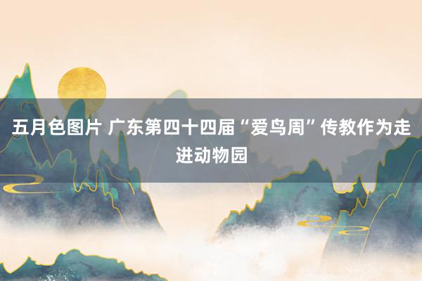 五月色图片 广东第四十四届“爱鸟周”传教作为走进动物园