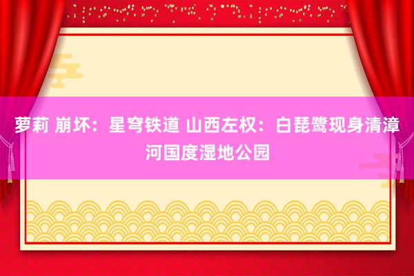 萝莉 崩坏：星穹铁道 山西左权：白琵鹭现身清漳河国度湿地公园